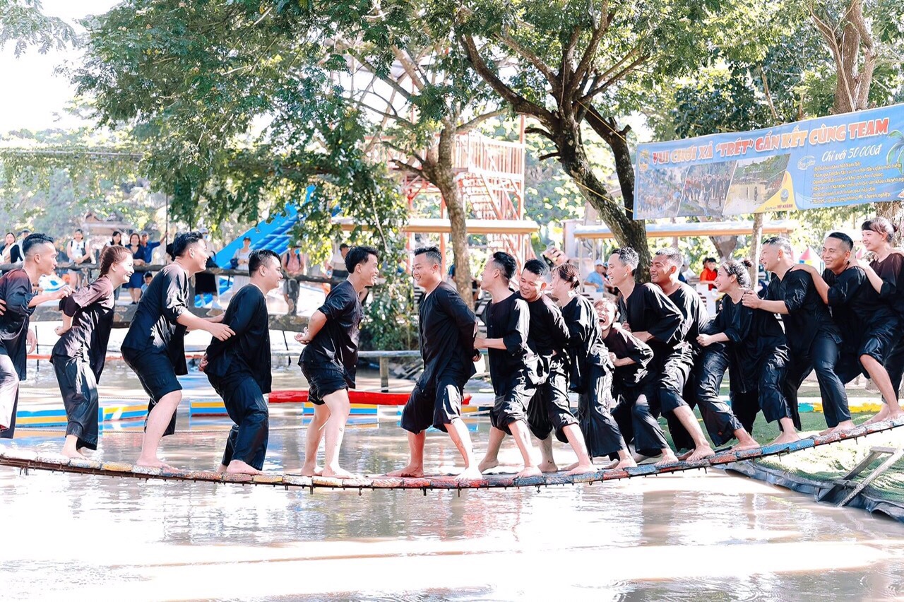 lĩnh vực hoạt động